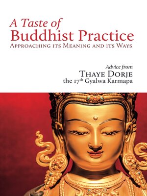 cover image of A Taste of Buddhist Practice